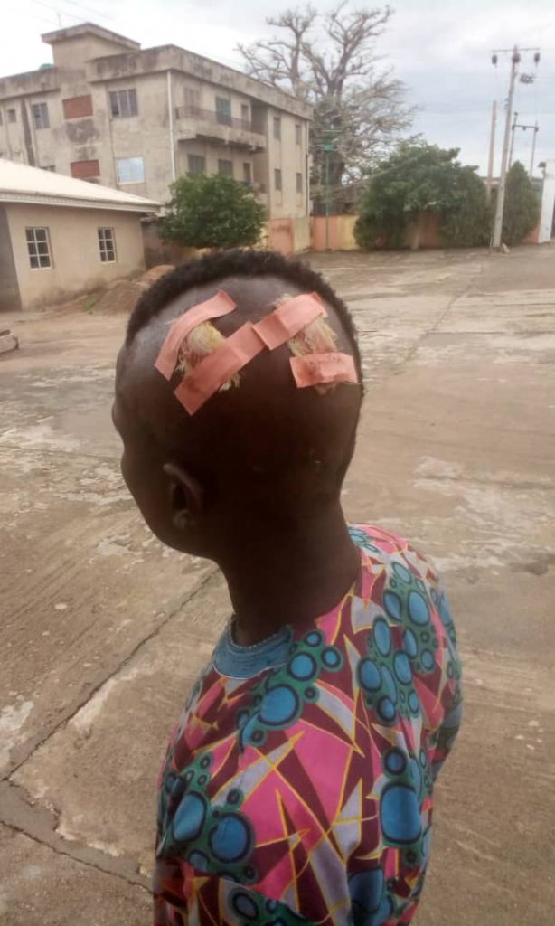 Herdsmen Injure Two, Destroy Farmlands In Kwara Boundary (PHOTOS)