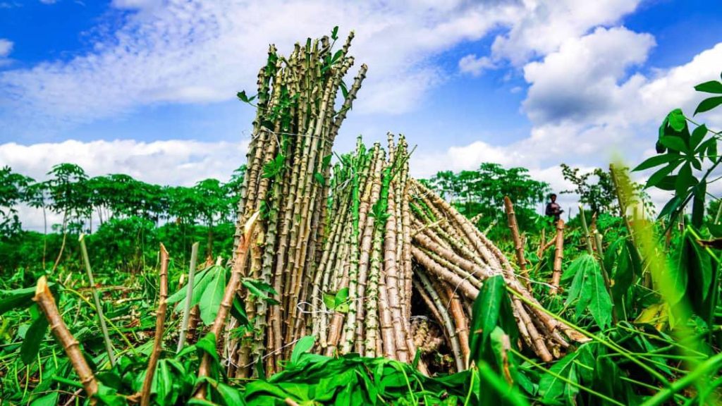 Oluyole LG To Create Farmers/Herders Database As Council Chairman Meets Stakeholders